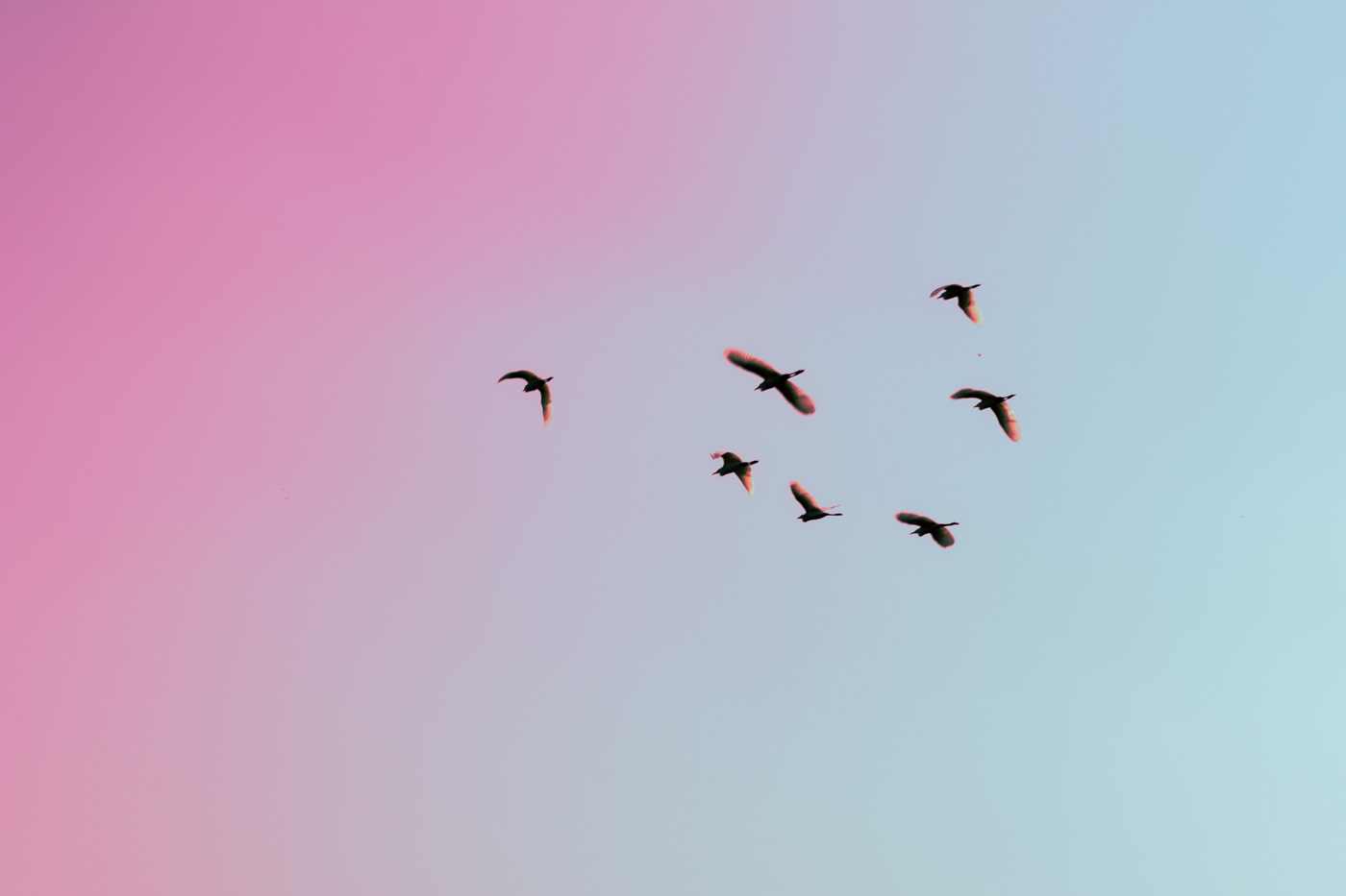 Google’s Need for Speed – Google Analytics Asynchronous Tracking Code