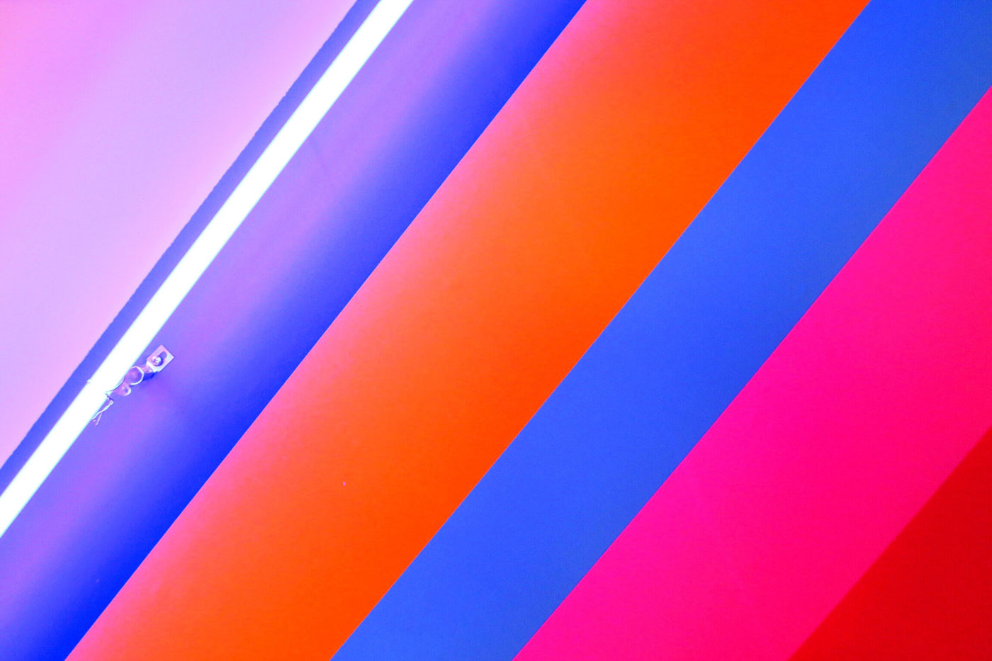 Display Unique Phone Numbers Based On Referring Sites